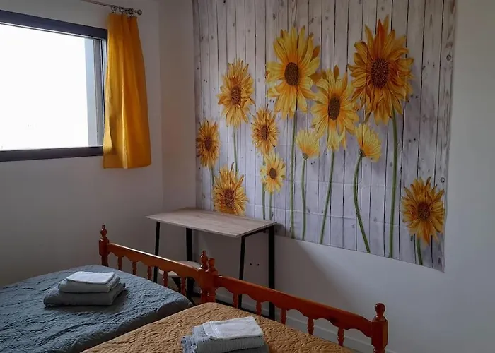 Villa Ginkgo Et Son Privatif Albi