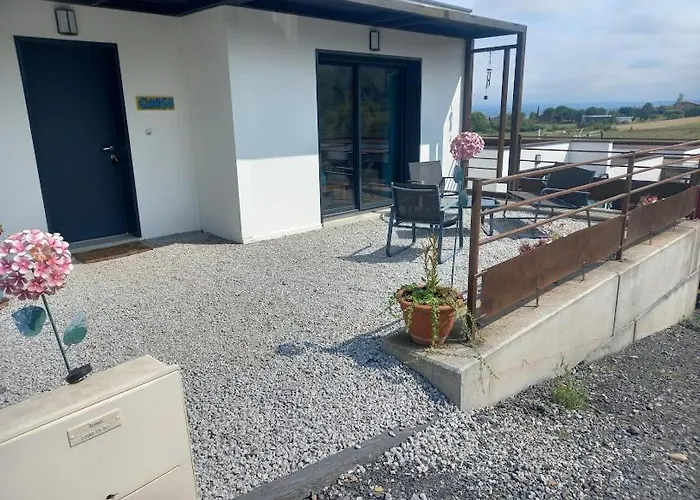 Ginkgo Et Son Privatif Albi