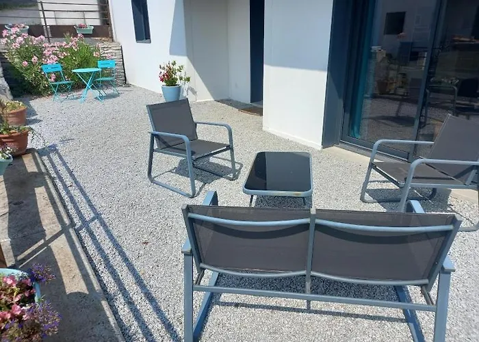 Ginkgo Et Son Privatif * Albi