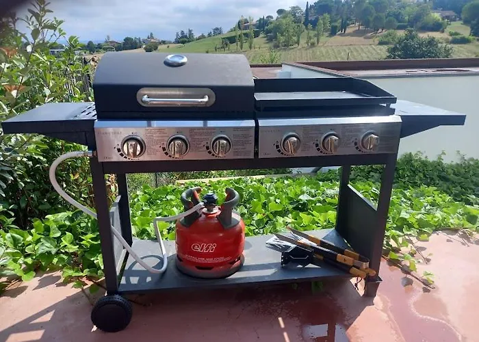 Ginkgo Et Son Privatif Villa Albi