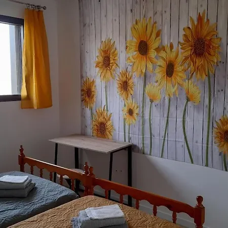 Villa Ginkgo Et Son Privatif Albi