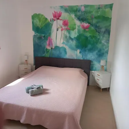 Villa Ginkgo Et Son Privatif Albi