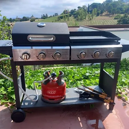 Ginkgo Et Son Privatif Villa Albi