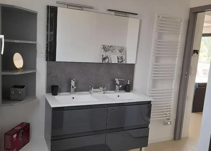 Villa Ginkgo Et Son Privatif Albi