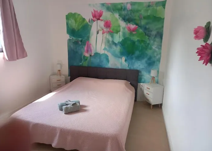 Villa Ginkgo Et Son Privatif Albi