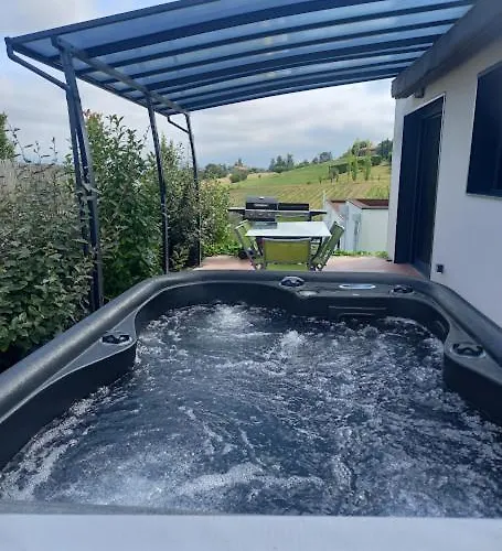 Ginkgo Et Son Privatif Villa